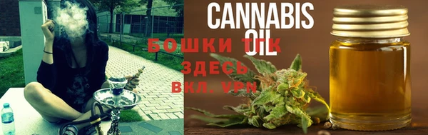 гидропоника Белоозёрский
