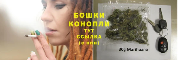 гидропоника Белоозёрский