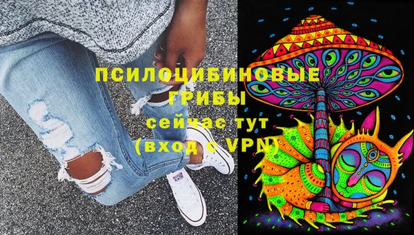дурь Белокуриха