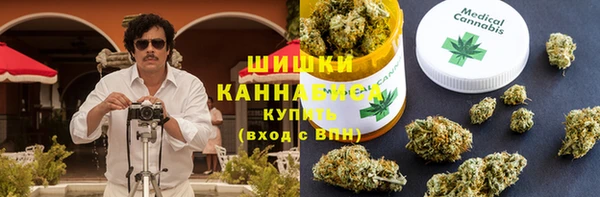 дурь Белокуриха