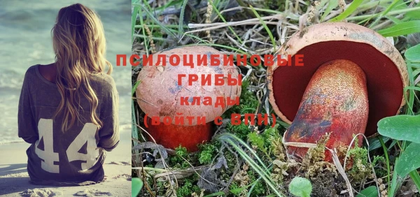 дурь Белокуриха