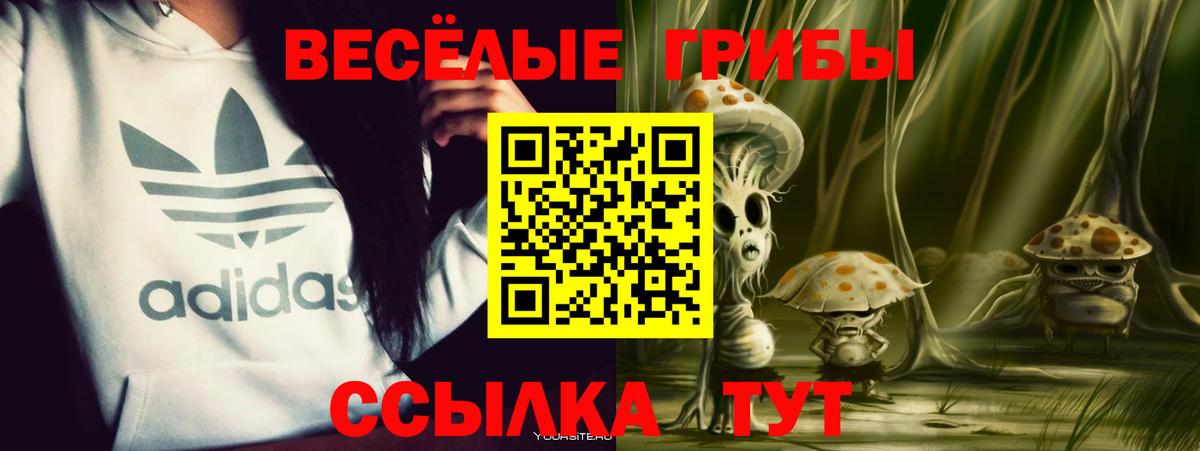 Галлюциногенные грибы Psilocybine cubensis  Вход с VPN  Сланцы 